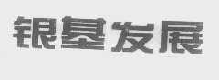 银基发展