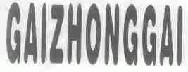 GAIZHONGGAI