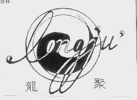 龙聚