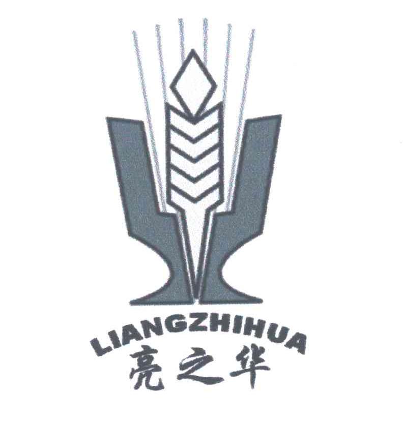 亮之华