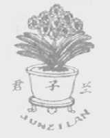 君子兰