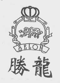 胜龙   SELON