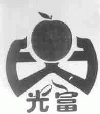 光富