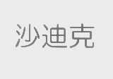 沙迪克
