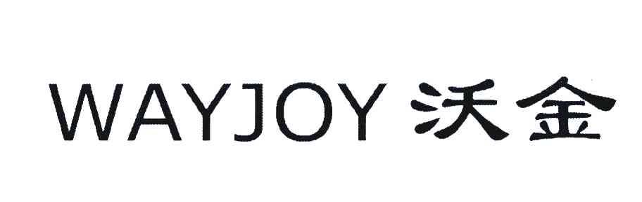沃金;WAYJOY