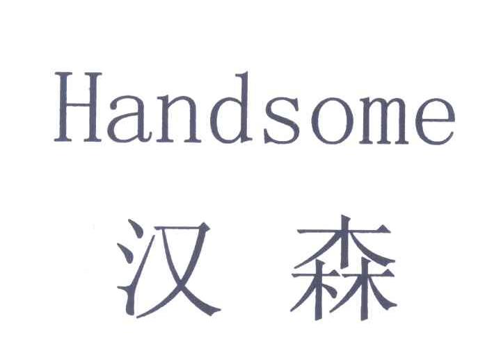 汉森;HANDSOME