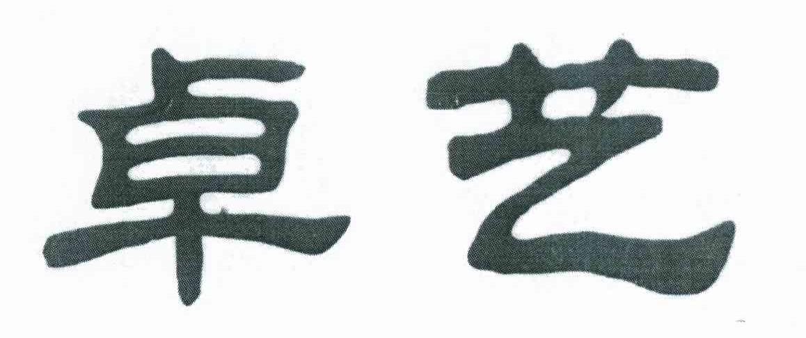 卓艺