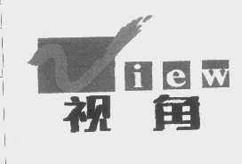 视角   ZIEW