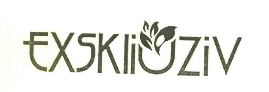 EXSKLIUZIV