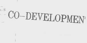CO-DEVELOPMENT