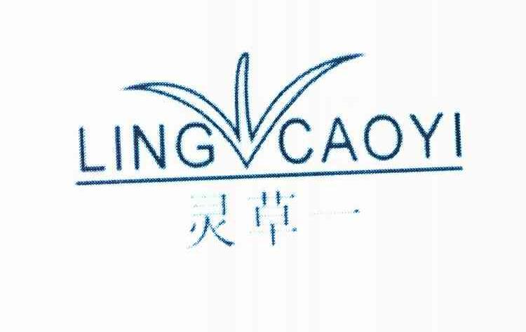灵草一