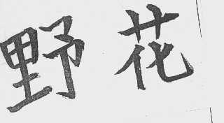 野花