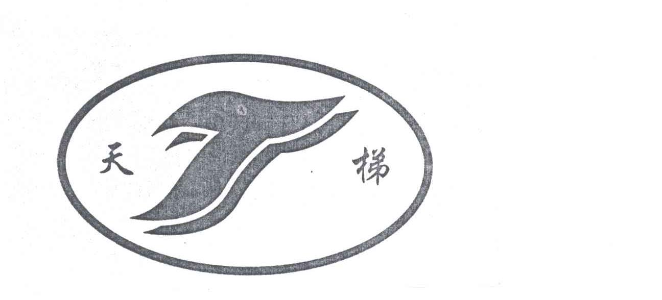 天梯