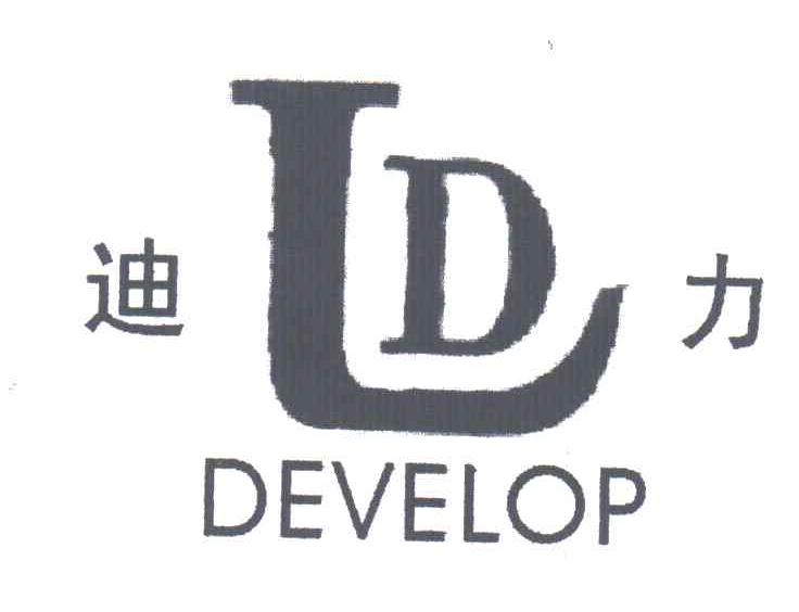 迪力;DEVELOP;LD