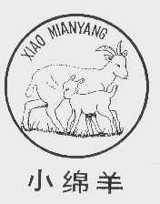 小绵羊