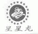 星星龙