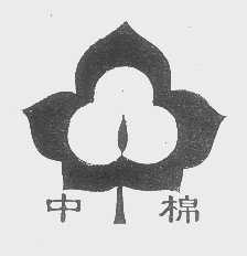 中棉