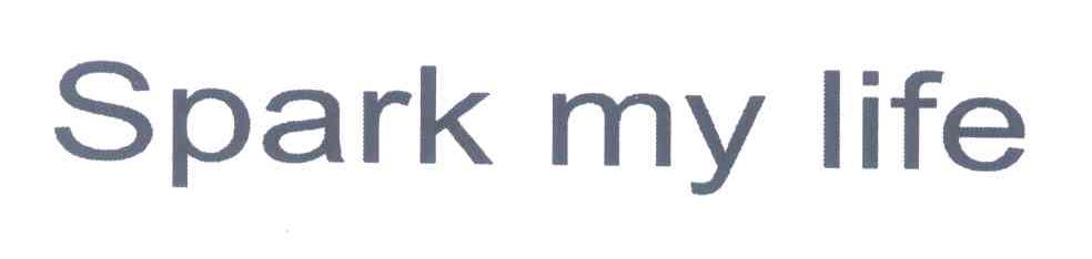 SPARK MY LIFE