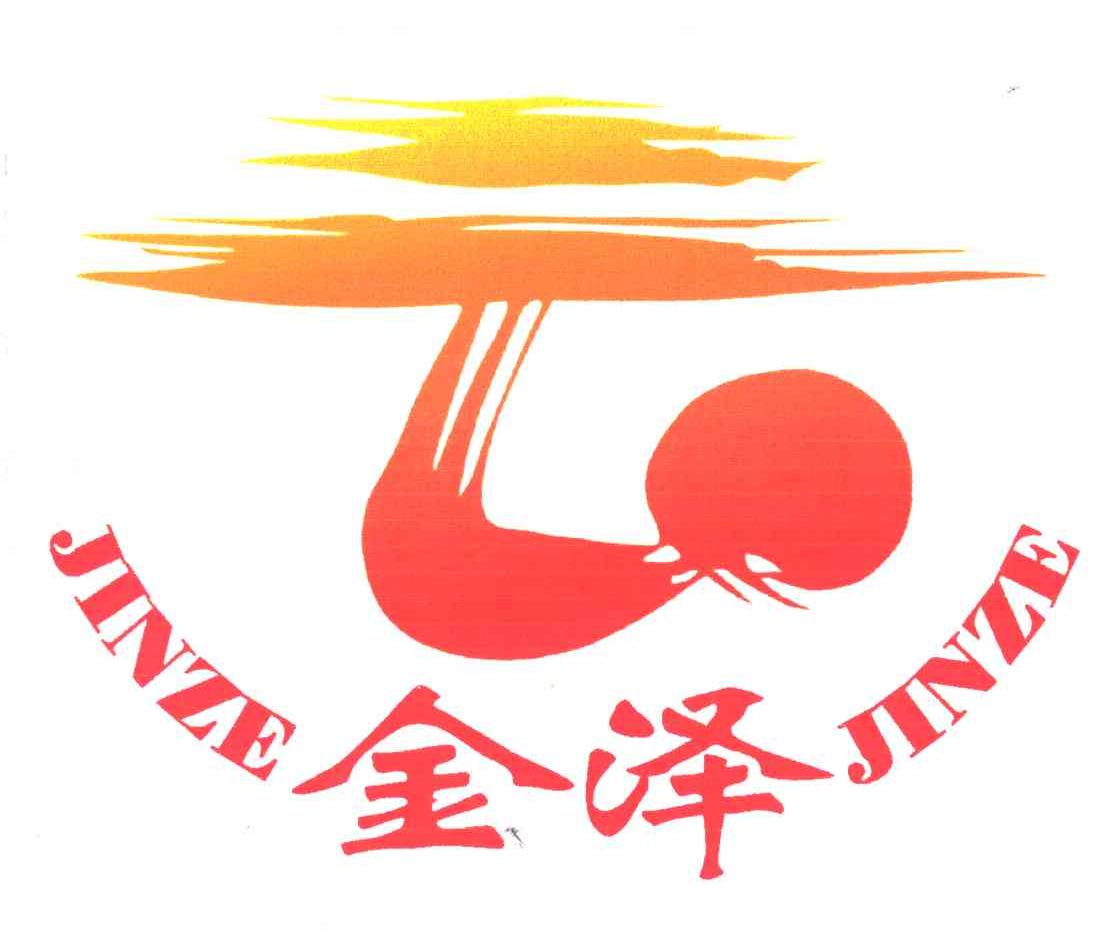 金泽;