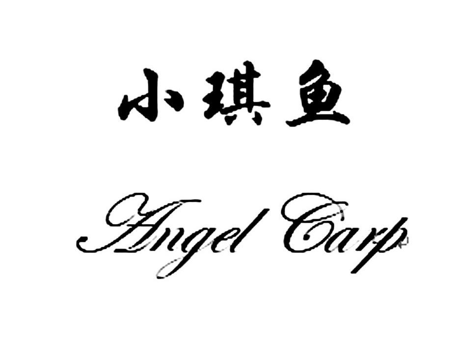 小琪鱼 ANGEL CARP