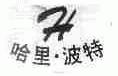 哈里.波特