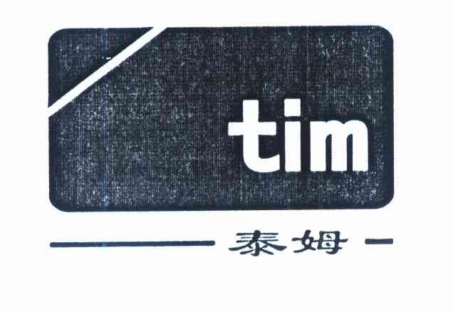 泰姆 TIM