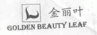 金丽叶;GOLDEN BEAUTY LEAF