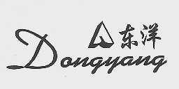 东洋