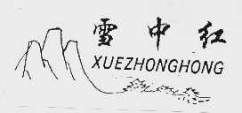 雪中红