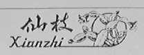 仙枝