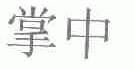 掌中