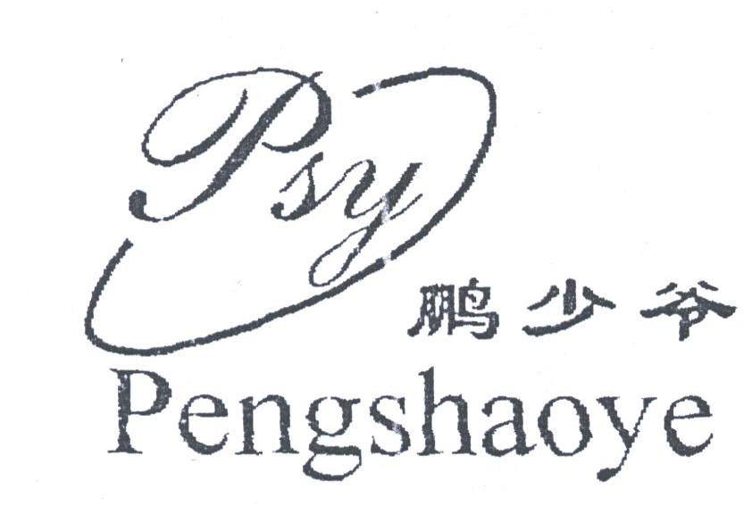 鹏少爷;PSY