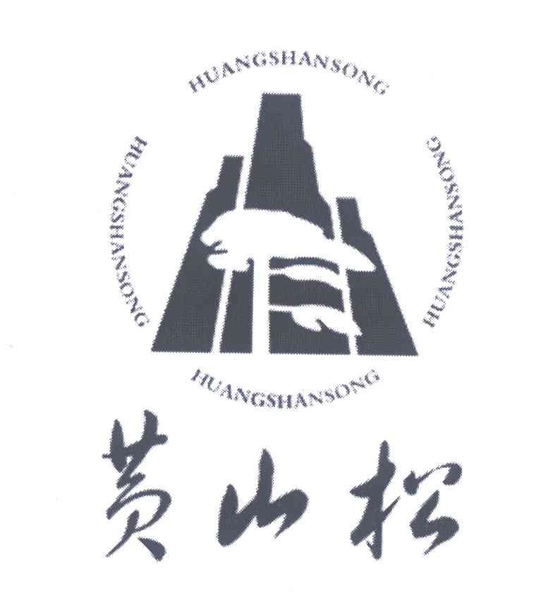 黄山松