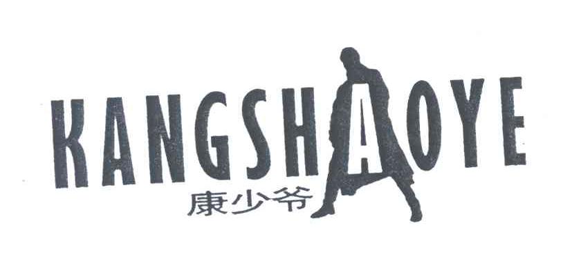 康少爷