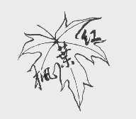 枫叶红