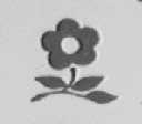 图形