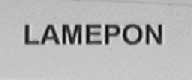 LAMEPON