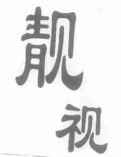 靓视