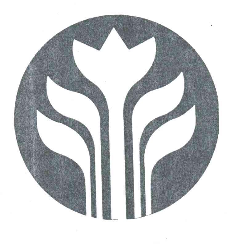 图形