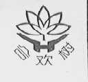 合欢树