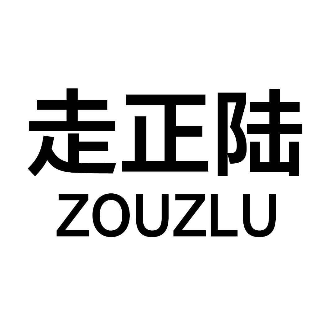 走正陆 ZOUZLU