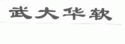 武大华软