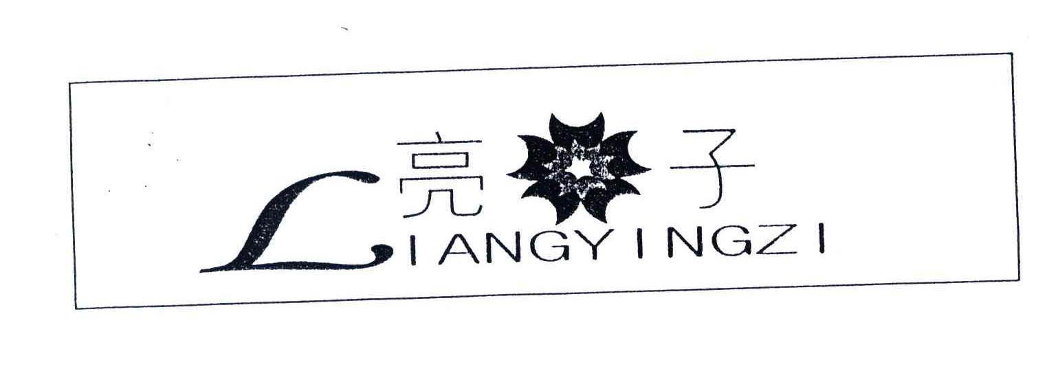 亮子;LIANGYINGZI及图形