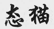 态猫