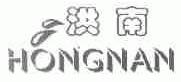 洪南