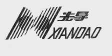 先导