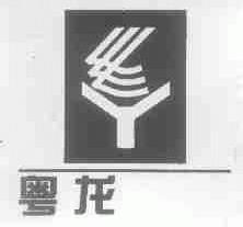粤龙