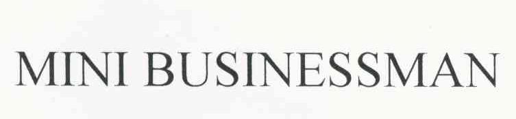 MINI BUSINESSMAN