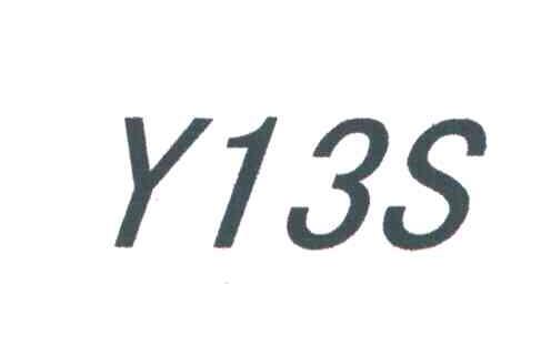 Y13S