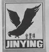 金鹰
